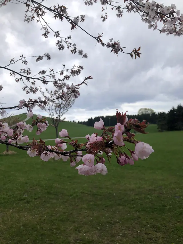 モエレ沼公園