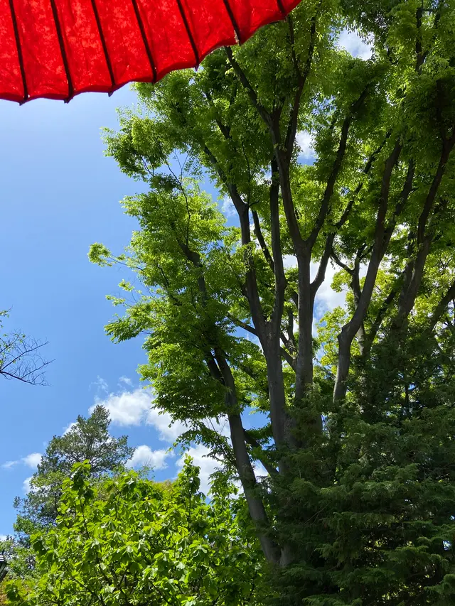 志”満ん草餅（じまんくさもち）