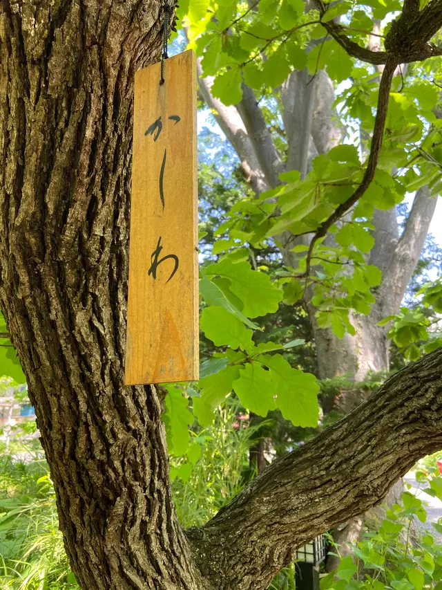 志”満ん草餅（じまんくさもち）