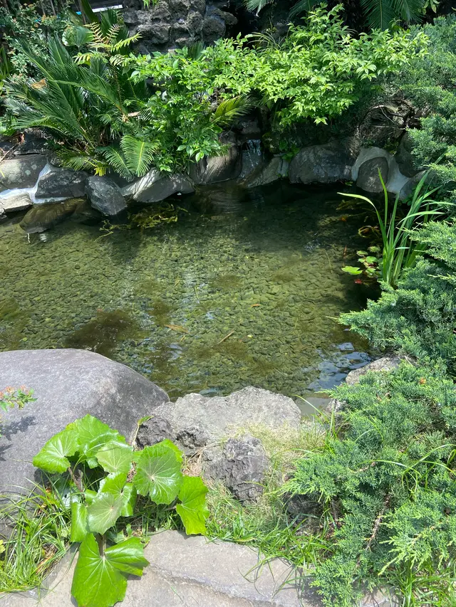 タケルクインディチLOQUAT西伊豆店