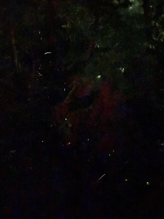 ホテル椿山荘東京
