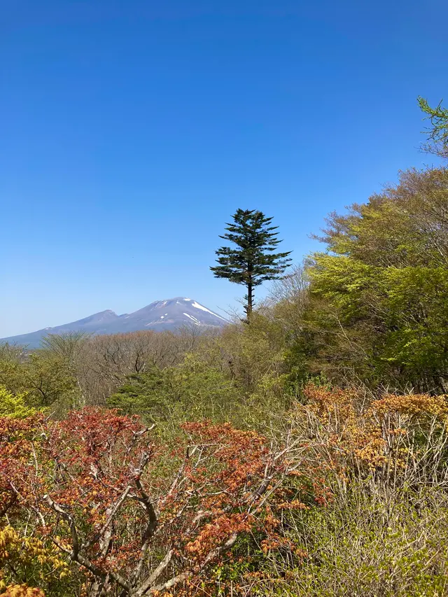 旧碓氷峠見晴台