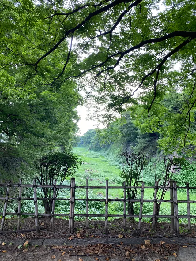 名古屋城
