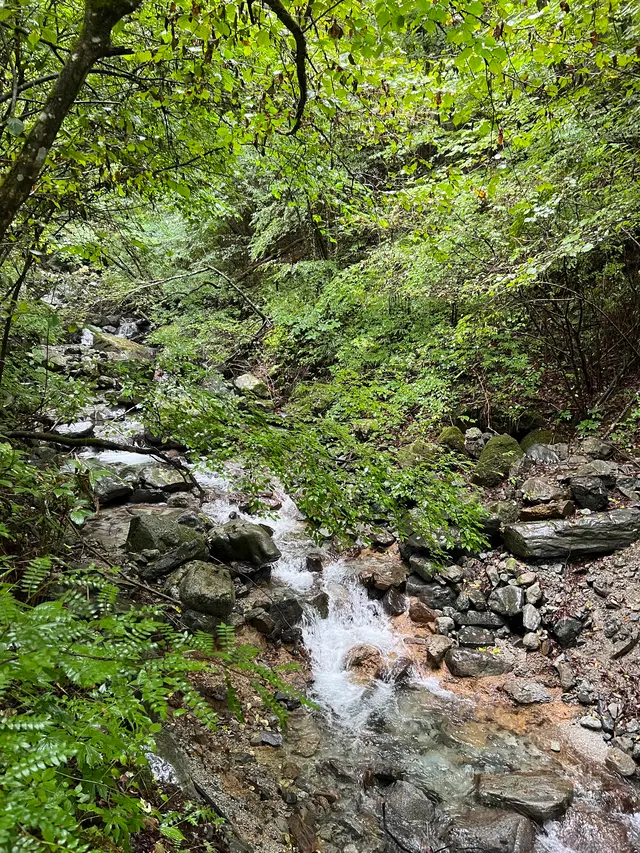 スカイバレーキャンプ場