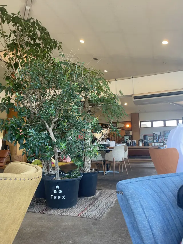 TREX CHIGASAKI OCEAN CAFE