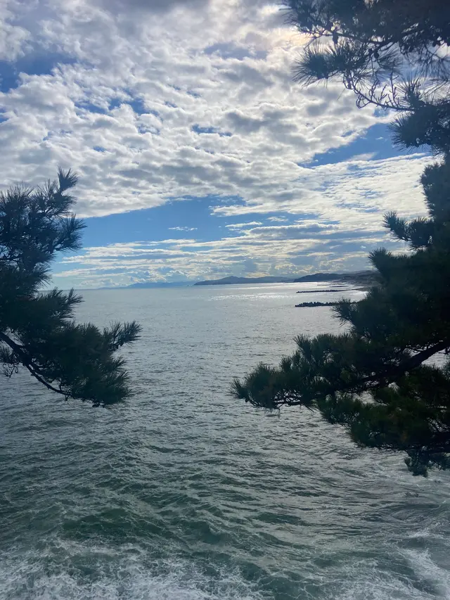 桂浜