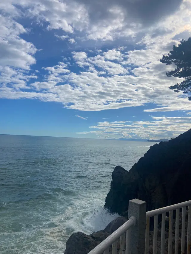 桂浜