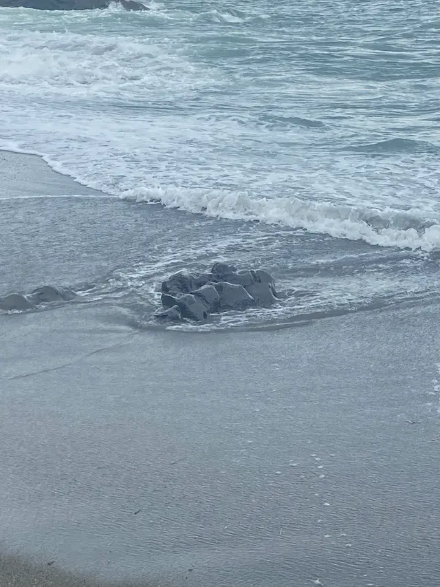 桂浜