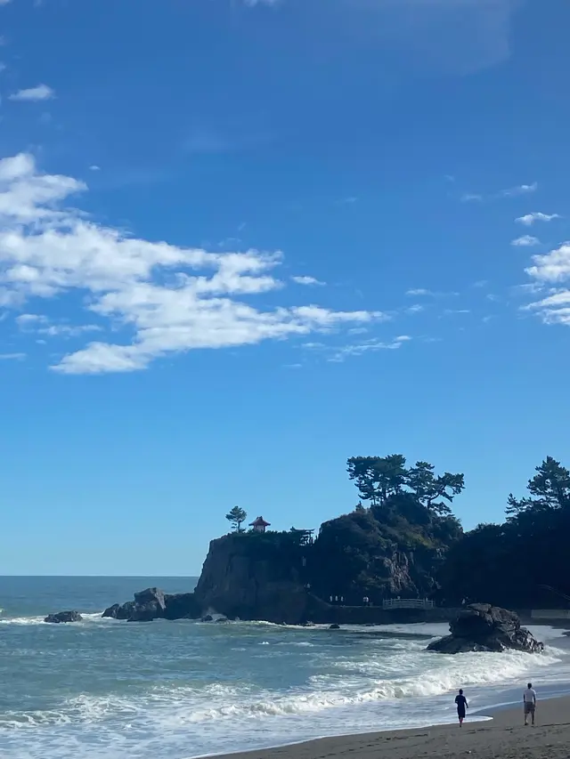 桂浜