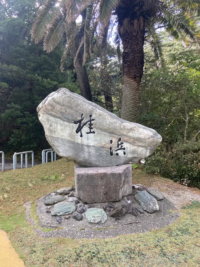 桂浜