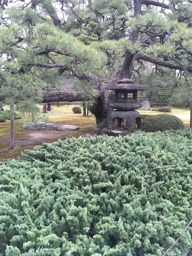 元離宮 二条城