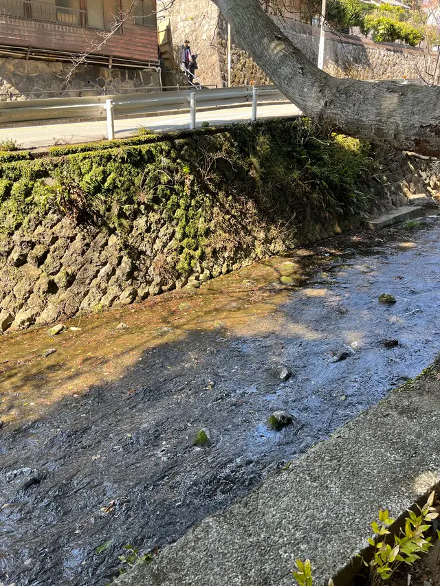 來宮神社