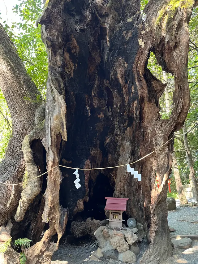 來宮神社