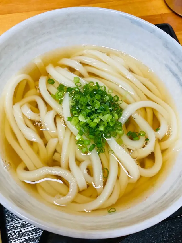 蓮（水元公園）