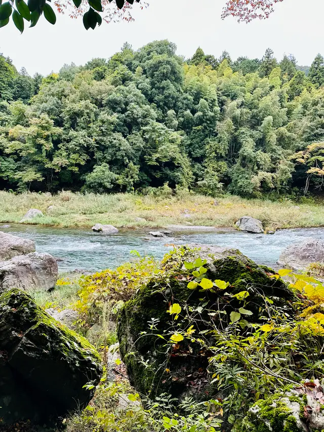 御岳渓谷