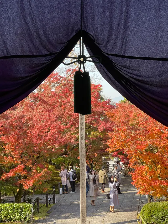 永観堂（禅林寺）