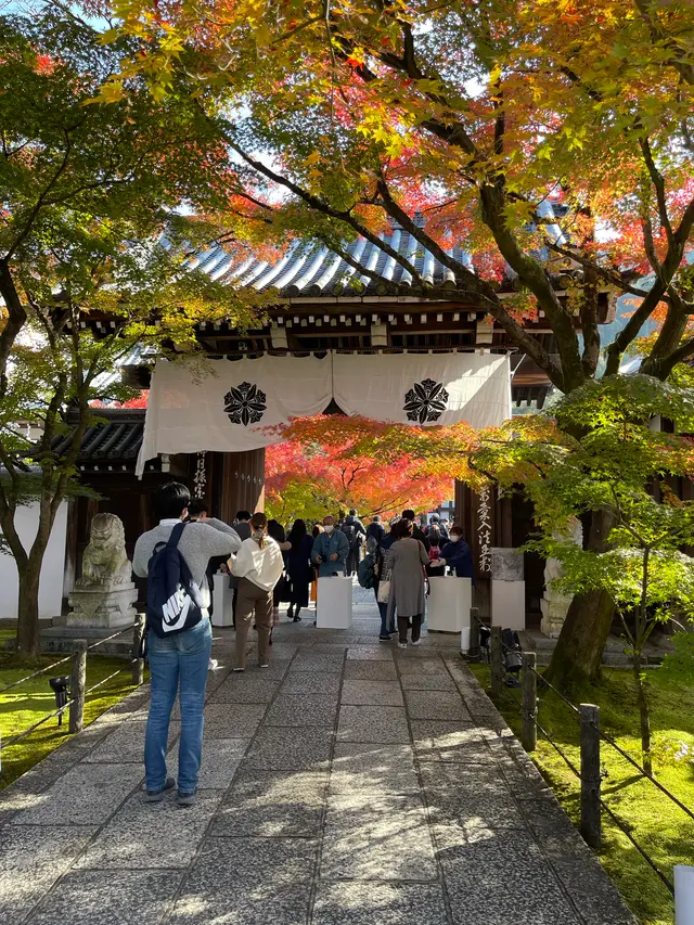永観堂（禅林寺）