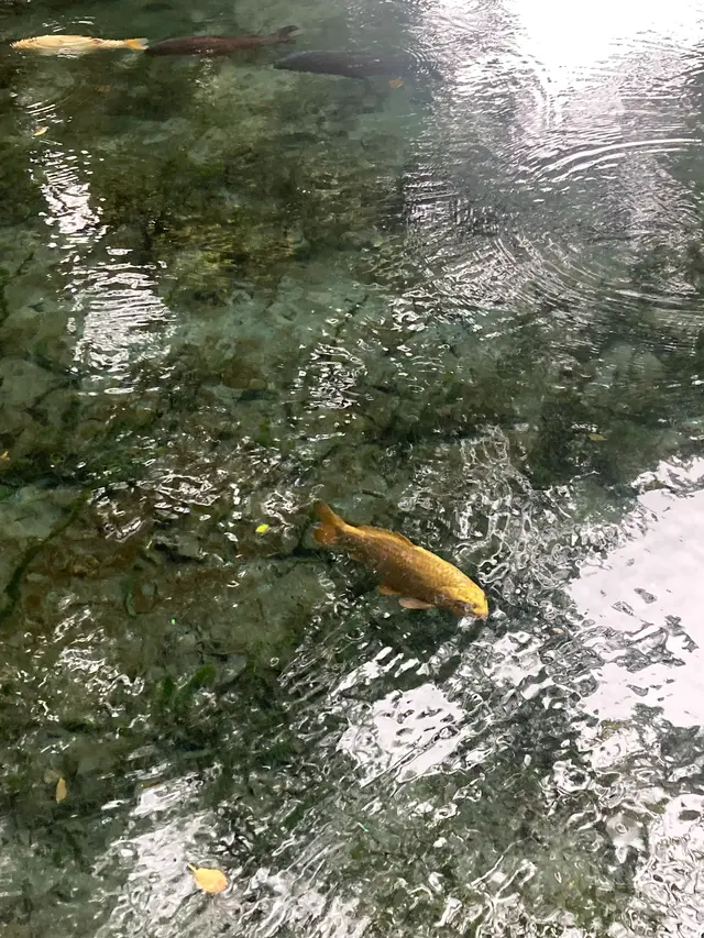 明神池名水公園