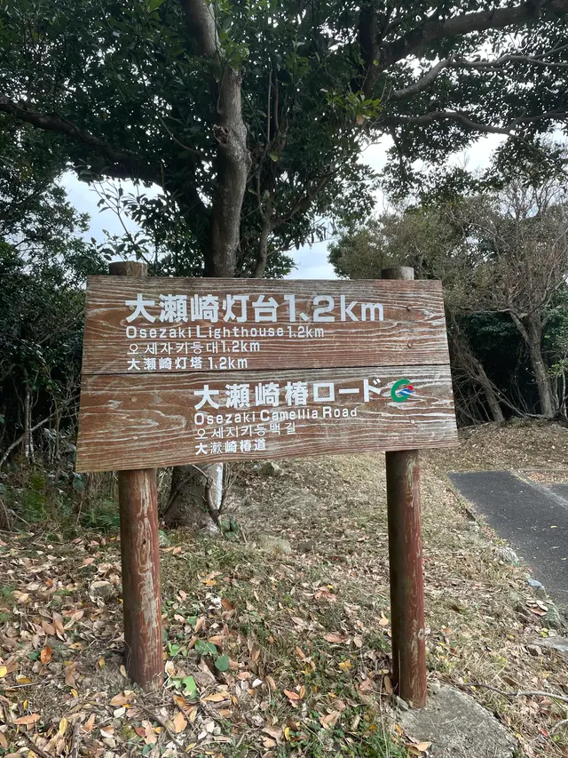 大瀬崎灯台