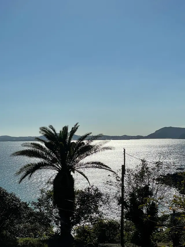 五島バス香珠子椿茶屋