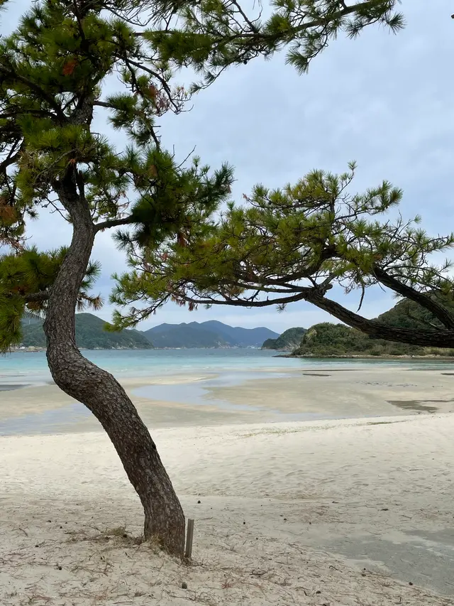 蛤浜海水浴場