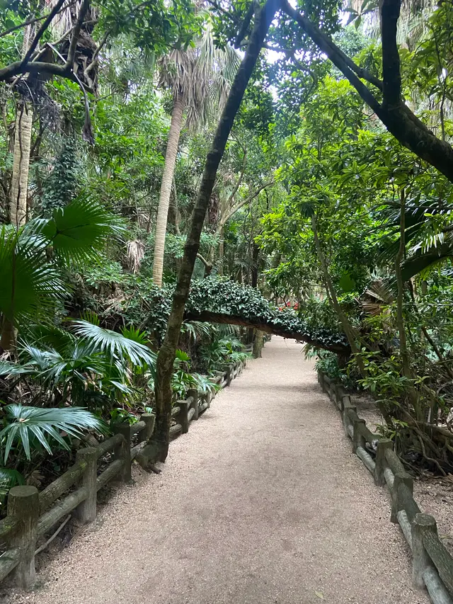 青島神社