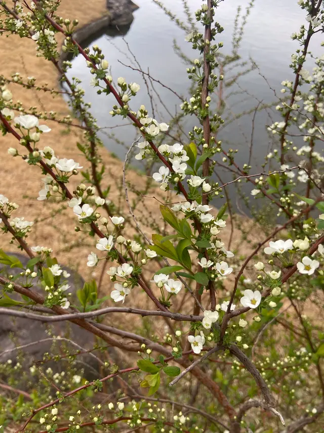 グランドエクシブ鳥羽