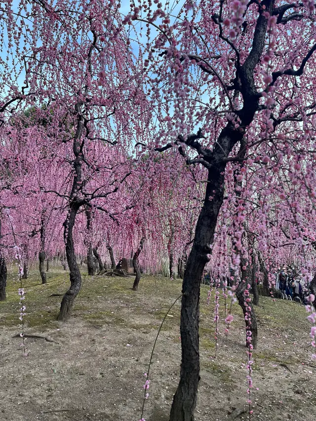 城南宮