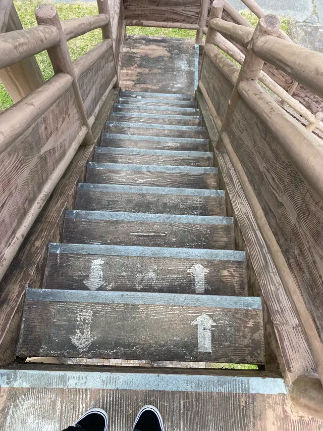 市貝町芝ざくら公園