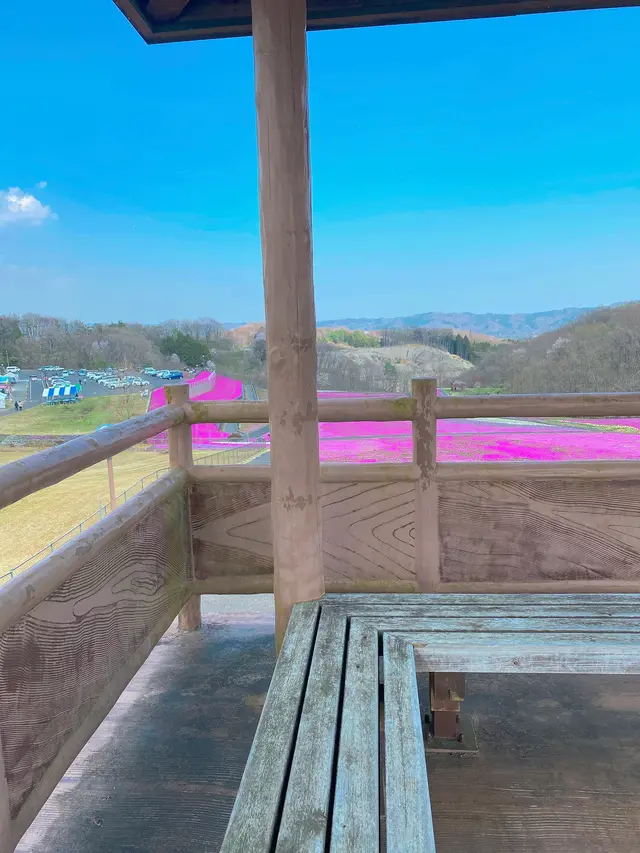 市貝町芝ざくら公園