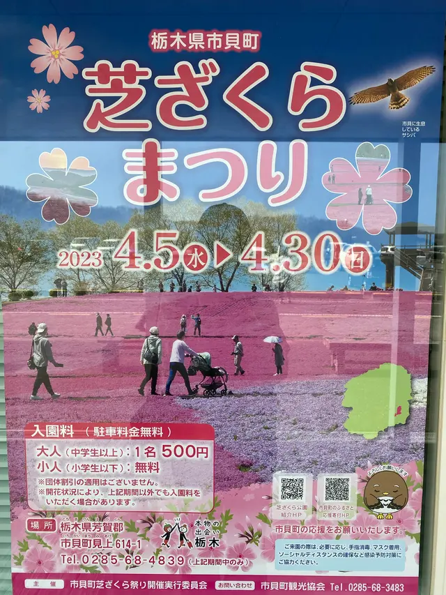 市貝町芝ざくら公園