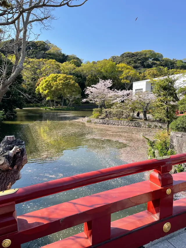 鶴岡八幡宮