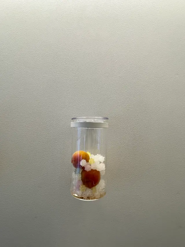 梅体験専門店　蝶屋　鎌倉店