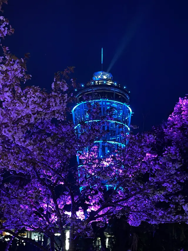 江の島シーキャンドル