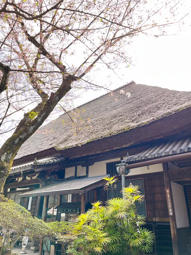 円通寺