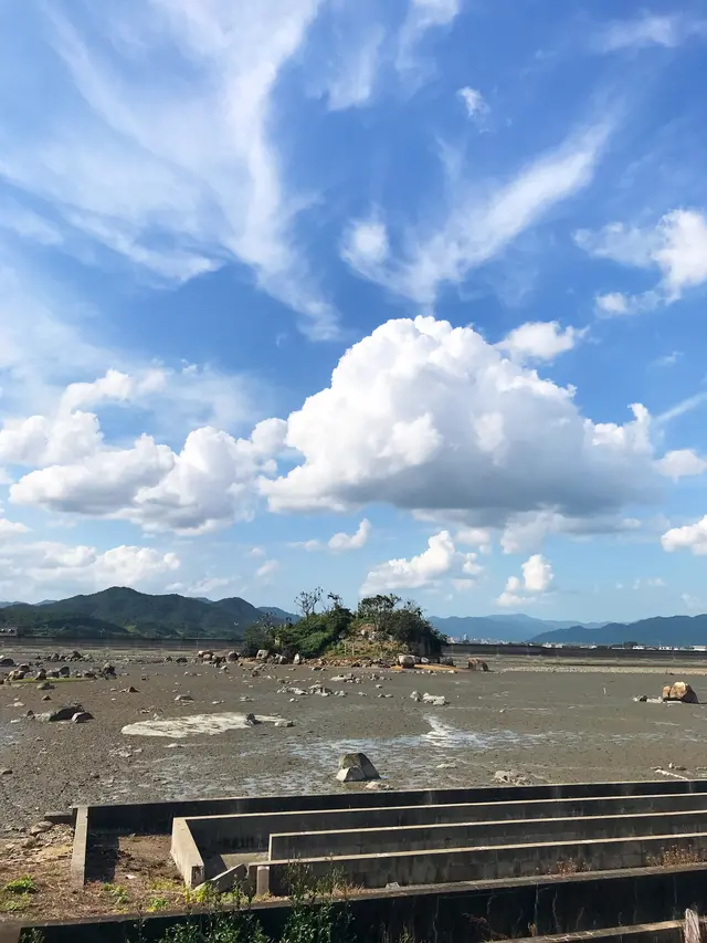 雌島