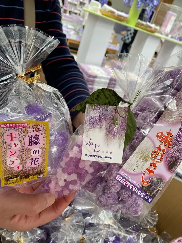 あしかがフラワーパーク