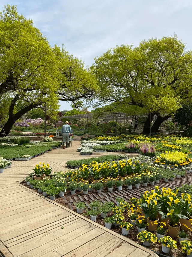 あしかがフラワーパーク