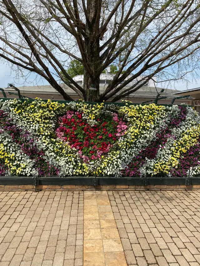 あしかがフラワーパーク