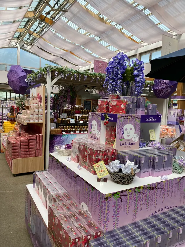 あしかがフラワーパーク