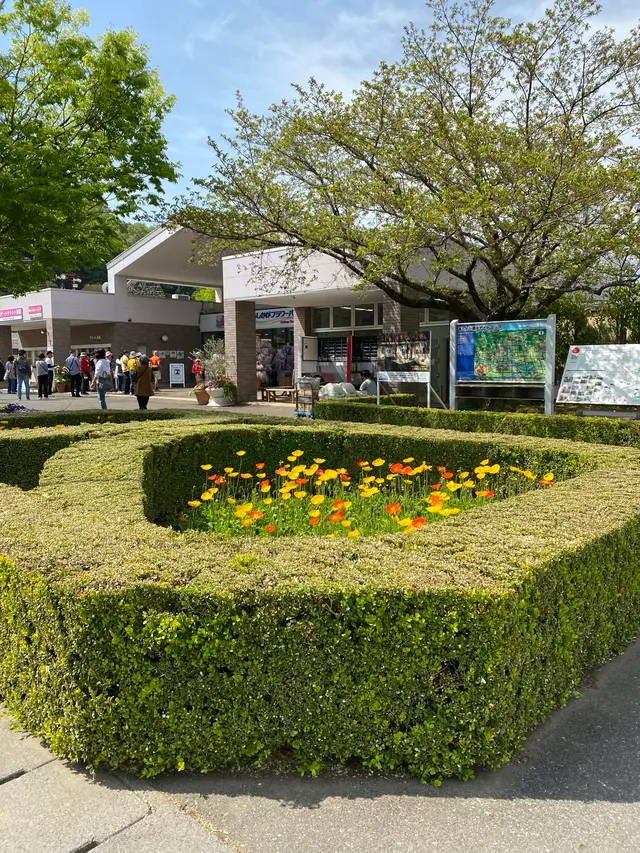 あしかがフラワーパーク