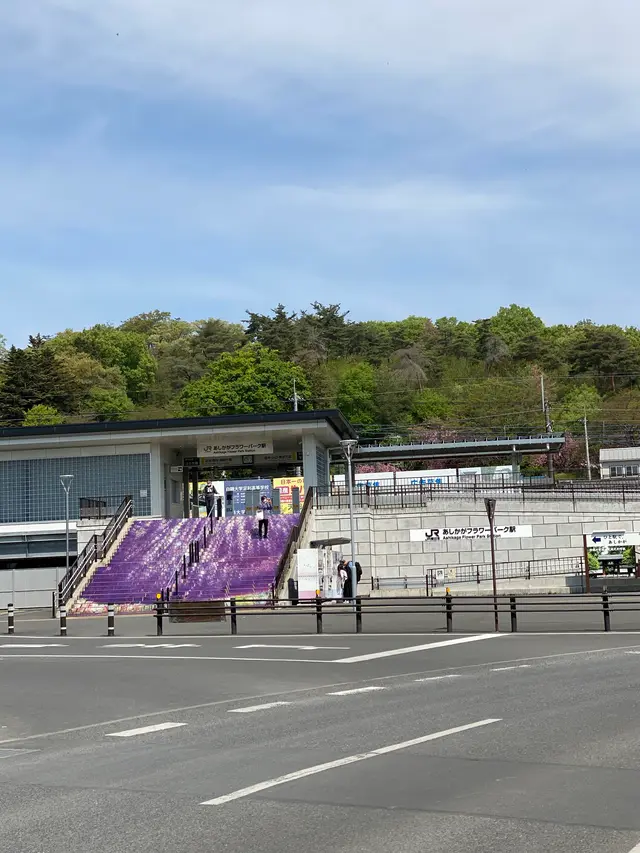 あしかがフラワーパーク