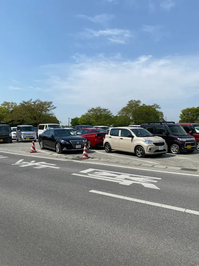 あしかがフラワーパーク