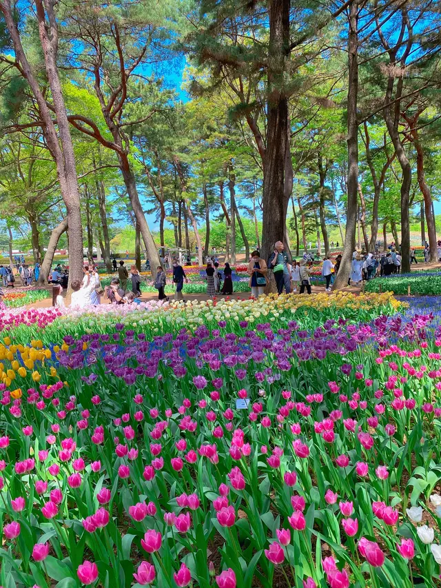 国営ひたち海浜公園
