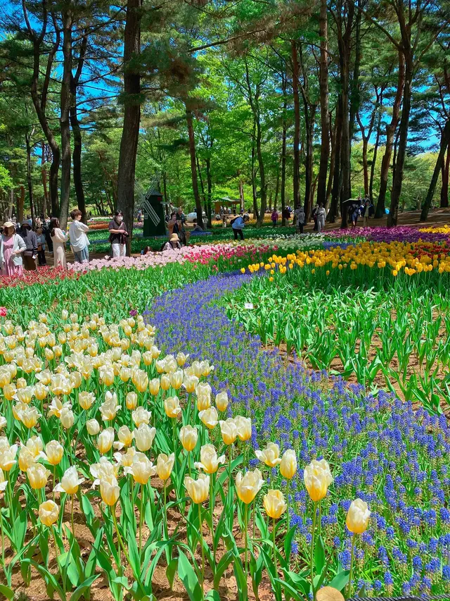 国営ひたち海浜公園