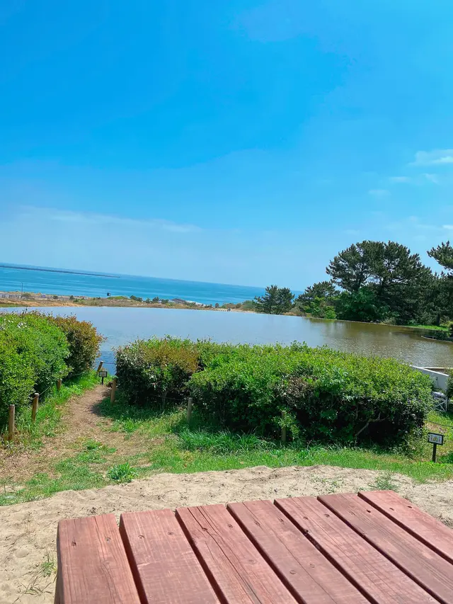 国営ひたち海浜公園
