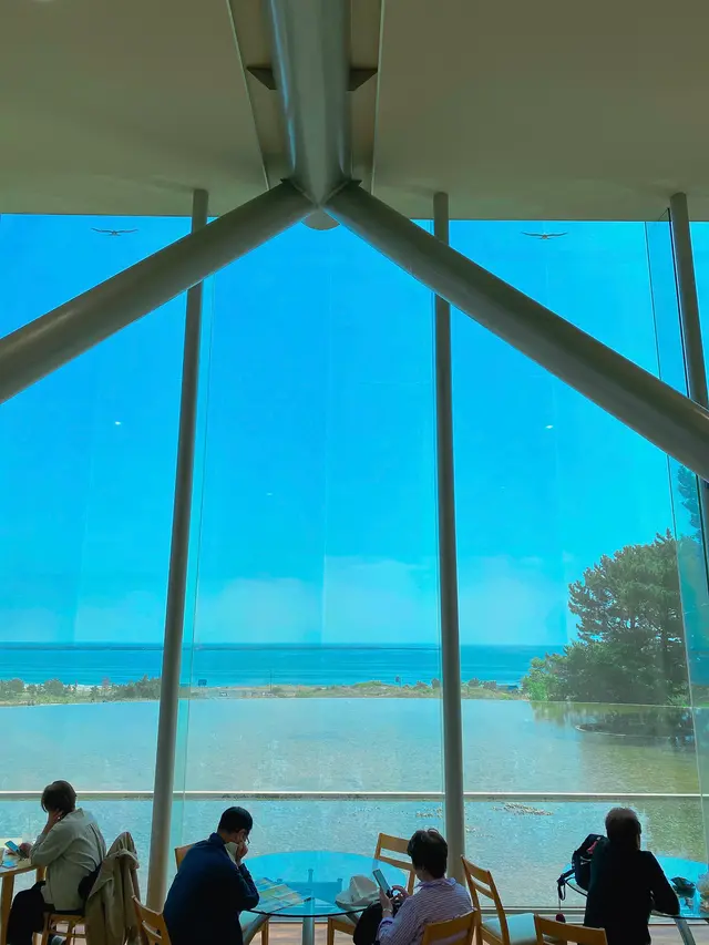 国営ひたち海浜公園