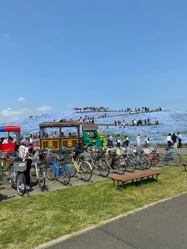 国営ひたち海浜公園