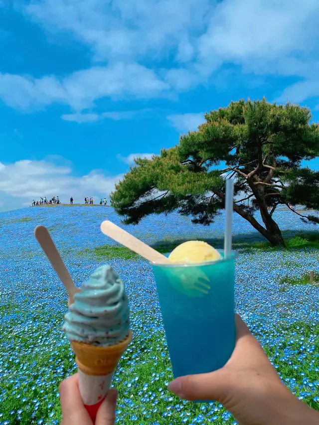 国営ひたち海浜公園