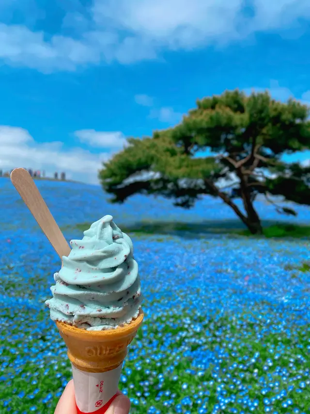 国営ひたち海浜公園